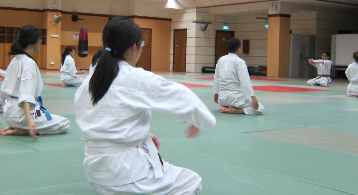 The Aikido ecosystem